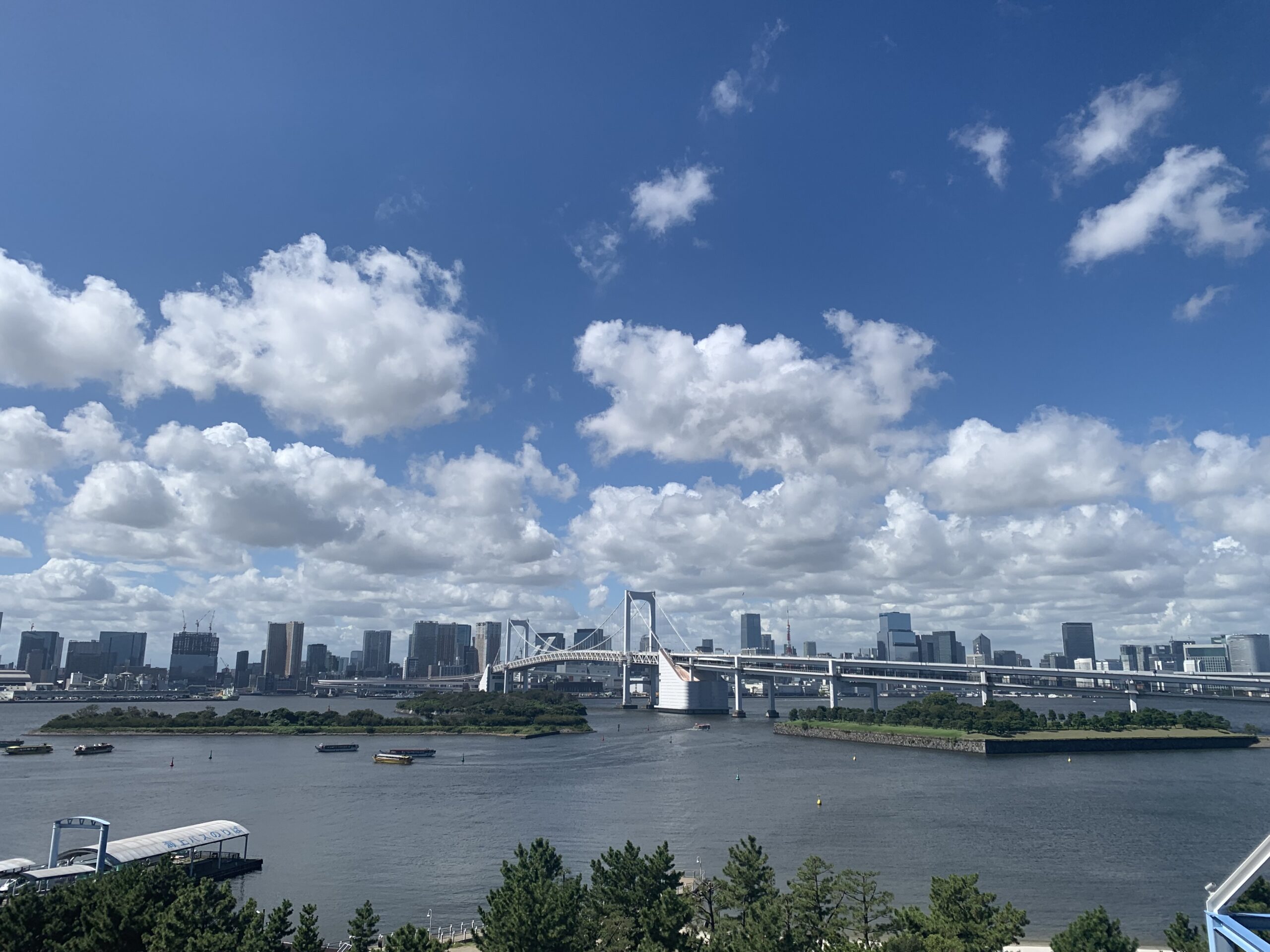 ブログの画像