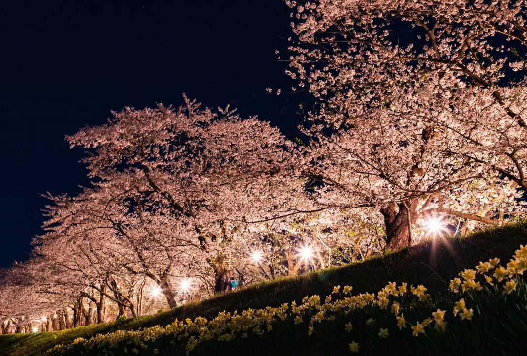 ブログの画像