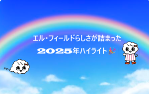 ブログの画像